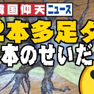 ザ・韓国仰天ニュース！多足ダコは日本の放射能のせい？【ゆっくり解説】