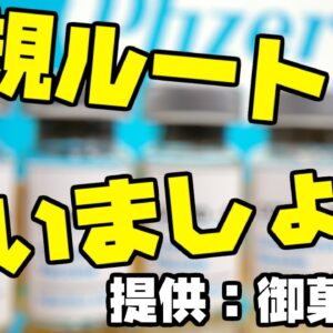 韓国、非正規ルートでワクチン仕入れようとした結果【ゆっくり解説】