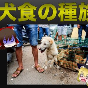 【ゆっくり解説】犬食い文化のヤバい種族ついて 韓国と中国の食文化の歴史