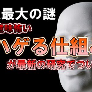 【ゆっくり解説】人類最大の謎（ある意味怖い）『ハゲる仕組み』が最新の研究でついに解明