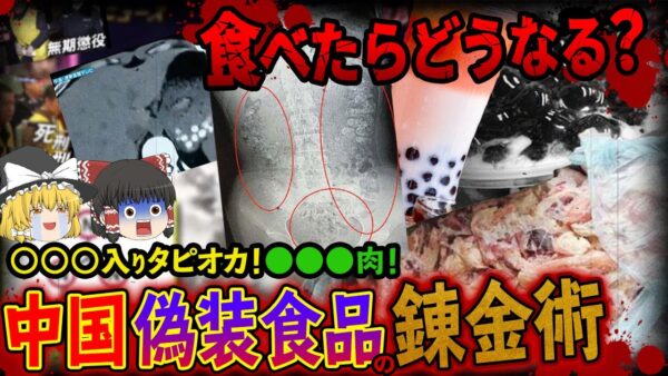 【ゆっくり解説】日常的に行われている中国偽装食品の錬金術10選