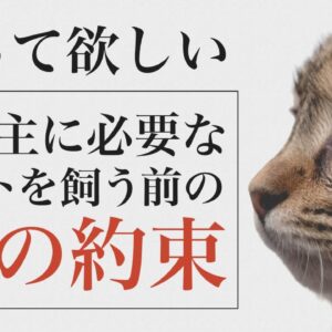 【ゆっくり解説】知ってほしい ペットを飼う前の12の約束・心構え