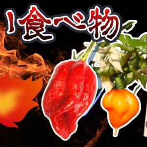 【ゆっくり解説】シビれる超激辛！辛い食べ物ランキング15選