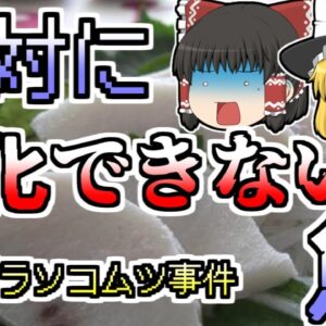 【1983年】クエに偽装された魚 しかし、それは絶対に消化できない毒魚だった...『アブラソコムツ事件』
