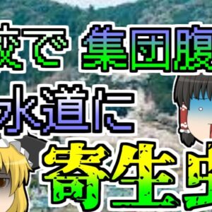 【1996年】小中学校で集団腹痛 原因は意外なところに･･･『寄生虫クリプトスポリジウム』