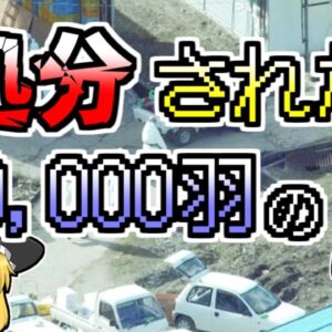 【2004年】一日に千羽も亡くなっていた鶏たち。しかし、養鶏場主はそのことを隠し続け･･･『鳥インフルエンザ』