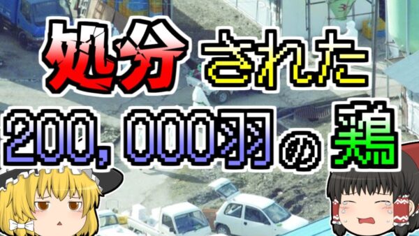 【2004年】一日に千羽も亡くなっていた鶏たち。しかし、養鶏場主はそのことを隠し続け･･･『鳥インフルエンザ』