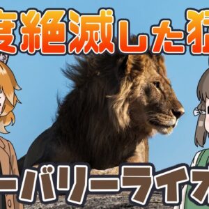 【ゆっくり解説】一度は絶滅した！？バーバリーライオンの数奇な運命【へんないきもの#67】