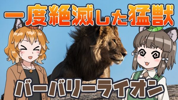 【ゆっくり解説】一度は絶滅した！？バーバリーライオンの数奇な運命【へんないきもの#67】