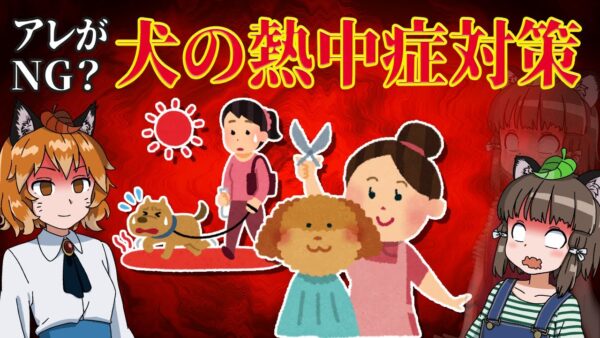 【ゆっくり解説】夏のサマーカットはNG！？実はダメな犬の熱中症対策