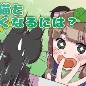 【漫画】野良猫と仲良くなるには？【マンガ動画／ゆっくり解説】