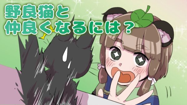 【漫画】野良猫と仲良くなるには？【マンガ動画／ゆっくり解説】