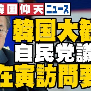 ザ・韓国仰天ニュース！韓国大歓喜！？日本の政界の問題児、動く【ゆっくり解説】