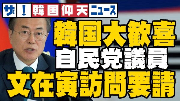 ザ・韓国仰天ニュース！韓国大歓喜！？日本の政界の問題児、動く【ゆっくり解説】