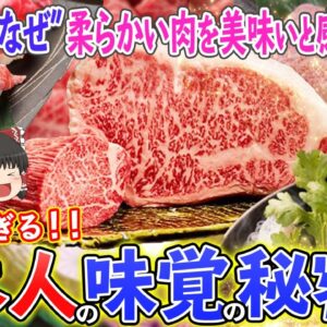 【ゆっくり解説】なぜ日本人だけが「柔らかい肉」を美味しい感じる！？特殊すぎる日本人の味覚の秘密について