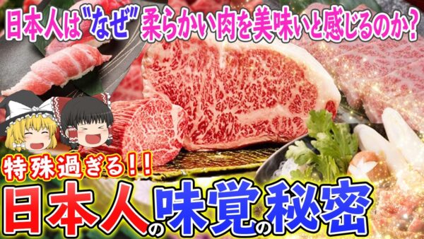 【ゆっくり解説】なぜ日本人だけが「柔らかい肉」を美味しい感じる！？特殊すぎる日本人の味覚の秘密について