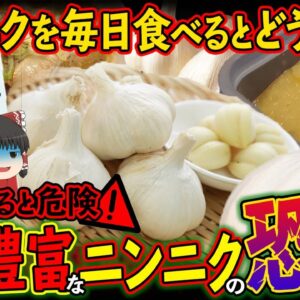 【ゆっくり解説】ニンニクを毎日食べ続けた結果がやばすぎた...口臭だけじゃない恐ろしさとは
