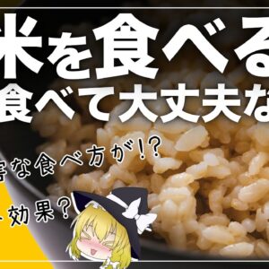 【ゆっくり解説】玄米毎日食べると！？本当の健康に効果について