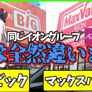 【ゆっくり解説】イオンのマックスバリュとザ・ビッグが全然違っていた⁉︎おすすめ食品も紹介！