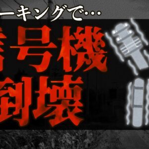 【ゆっくり解説】犬のマーキングで信号機倒壊！？変わるべき飼い主のマナーとは…