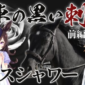 【ゆっくり解説】「ライスシャワー」関東の黒い刺客と呼ばれたダークホース(前編)【ウマ娘】