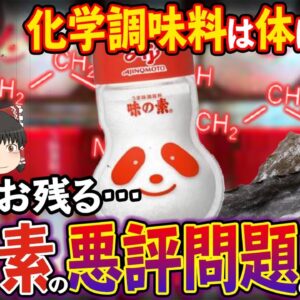 【ゆっくり解説】いまなお残る味の素の悪評！なぜ危険視されてしまうのかについて