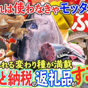 【ゆっくり解説】変わり種が満載！ふるさと納税の個性あふれる返礼品たち