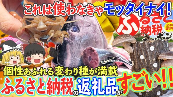 【ゆっくり解説】変わり種が満載！ふるさと納税の個性あふれる返礼品たち