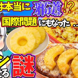 【ゆっくり解説】びっくりドンキー　ピザハットなぜパインをのせる…苦手な人多数なのに絶えないわけとは⁉︎