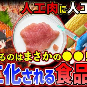 【ゆっくり解説】人工肉に人工卵！次々人工化される食品たち...次に来るのはまさかの◯◯！？
