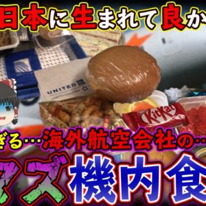 【ゆっくり解説】あまりにも不味すぎる海外航空会社の機内食達について