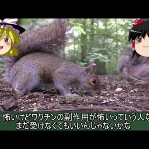 ４回目の緊急事態宣言？なぜか税収は過去最高