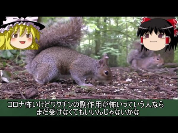 ４回目の緊急事態宣言？なぜか税収は過去最高