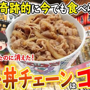 【ゆっくり解説】大人気だったのに突如消えた幻の牛丼チェーンについて