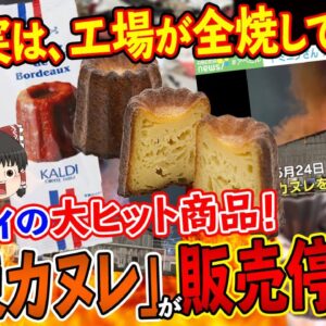 【ゆっくり解説】カルディの大ヒット商品「冷凍カヌレ」が販売停止！実は、工場が全焼してた…