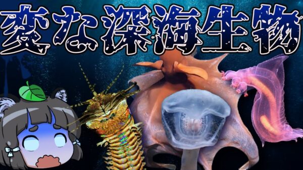 【ゆっくり解説】とんでもない！変な見た目の深海生物10選