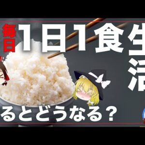 【ゆっくり解説】毎日1日1食の生活を続けるとどうなるか？ 健康への影響がやばい！？