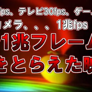 【ゆっくり解説】1秒1兆フレーム(1兆fps）で光をとらえた映像