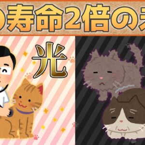 【ゆっくり解説】猫の寿命が2倍に！？腎臓病完治で長生きする未来の光と闇