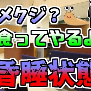 【2010年】ふざけてナメクジを食べてしまった青年...寄生虫により脳に炎症を起こし寝たきりに...『広東住血線虫症』【ゆっくり解説】
