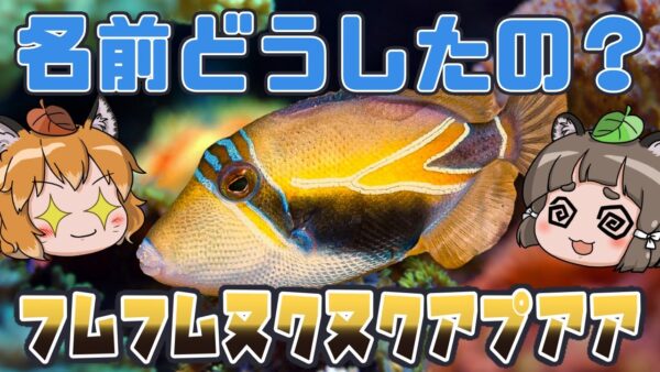【ゆっくり解説】名前どうした？フムフムヌクヌクアプアア【へんないきもの#70】