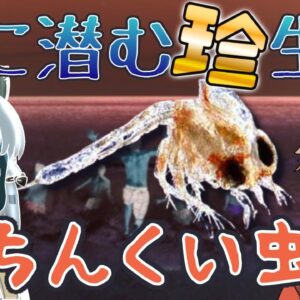 【ゆっくり解説】海に浮かぶ