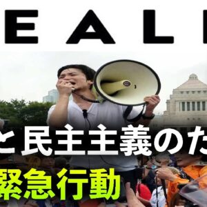 【ゆっくり解説】SEALDsとはなんだったのか。