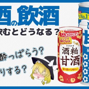【ゆっくり解説】甘酒を大量に飲むとどうなる？飲酒と健康効果について
