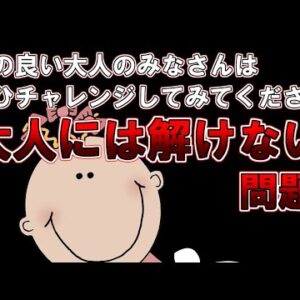 【ゆっくり解説】頭の良い大人のみなさんはぜひチャレンジしてみてください。『大人には解けない問題』