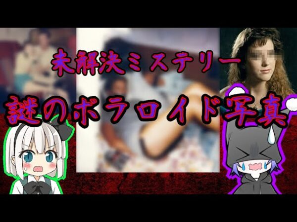 【タラ・キャリコ失踪事件】謎のポラロイド写真の真相に迫る【ゆっくり解説】