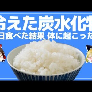 【ゆっくり解説】冷えた炭水化物を毎日食べた結果！冷やご飯の健康効果について