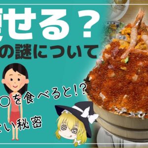 【ゆっくり解説】痩せ大食いについて 胃下垂が太らないは本当なのか？