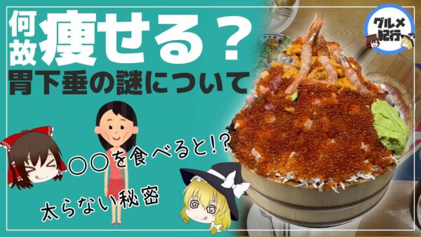 【ゆっくり解説】痩せ大食いについて 胃下垂が太らないは本当なのか？