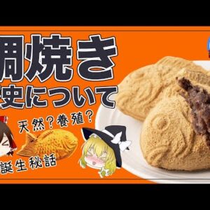 【ゆっくり解説】たい焼きの歴史について 天然モノと養殖モノって何だ？世界に認められた食